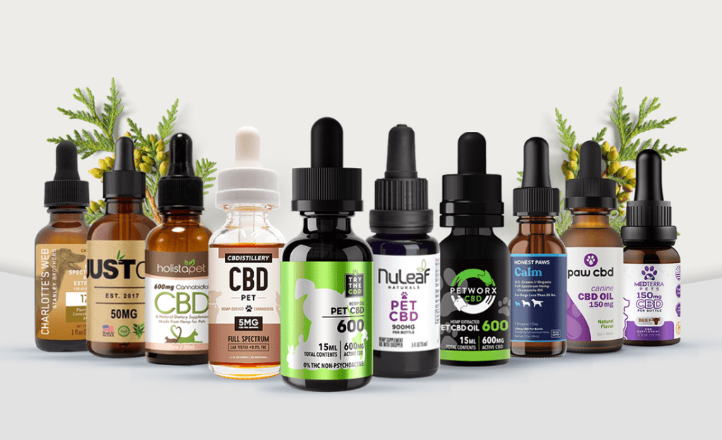 In What Condition Glow Cbd For Dog Should Be Used?